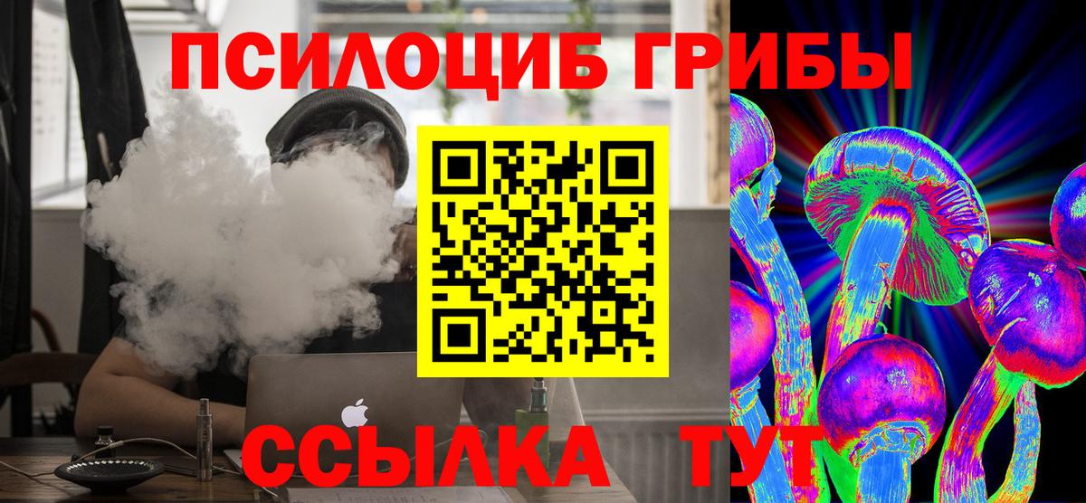 Псилоцибиновые грибы мухоморы Киселёвск