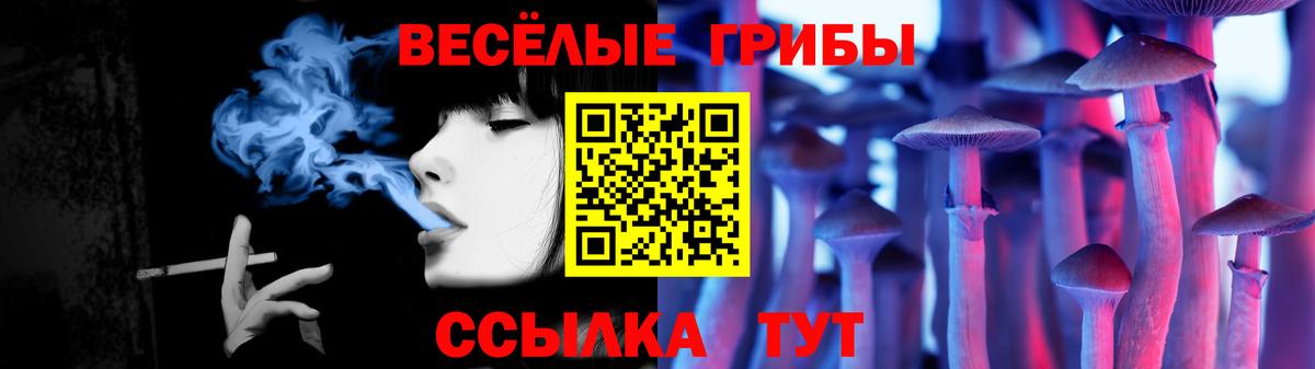 Киселёвск  Галлюциногенные грибы мицелий  Вход с VPN  Галлюциногенные грибы ЛСД 